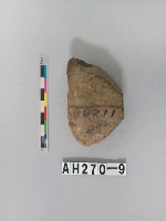 藏品(有段石錛)的圖片